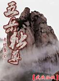 五岳独尊酒多少钱一瓶