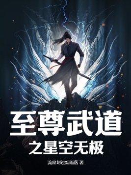 至尊武道之星空无极txt