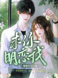 求你明恋我原著叫什么名字来着