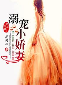 钻石闪婚之溺宠小娇妻墨哲瀚